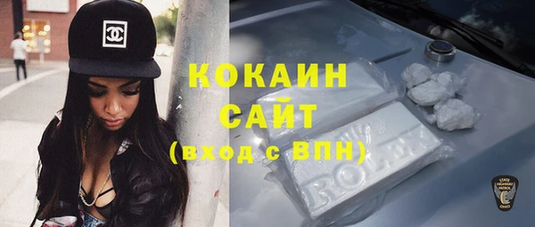 стаф Алексин
