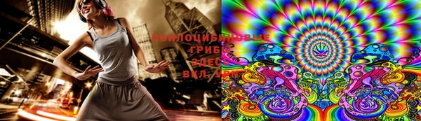 стаф Алексин