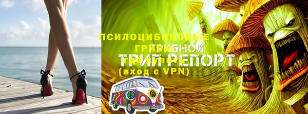 МДПВ Алзамай