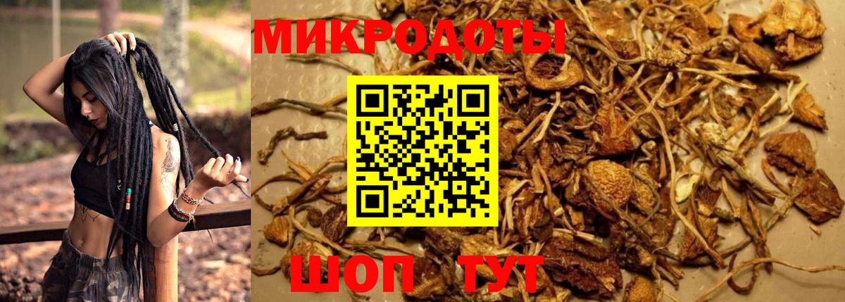 Псилоцибиновые грибы MAGIC MUSHROOMS Копейск